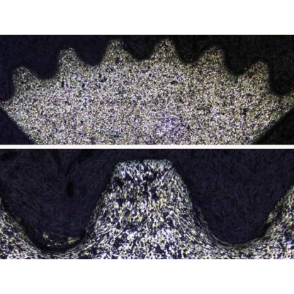 細致入微地觀察樣品 細致入微地觀察樣品