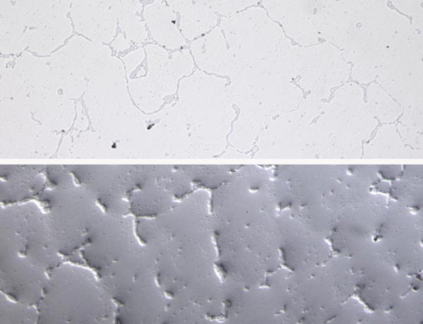 徠卡顯微鏡 徠卡顯微鏡