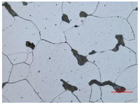 金相顯微鏡 金相顯微鏡