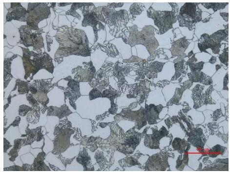 金相顯微鏡 金相顯微鏡