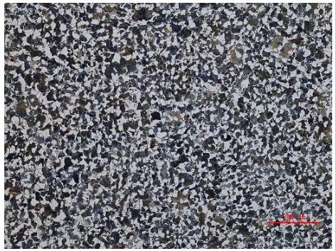 金相顯微鏡 金相顯微鏡