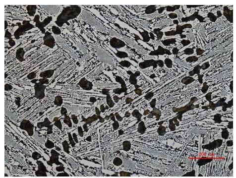 工業(yè)顯微鏡 工業(yè)顯微鏡
