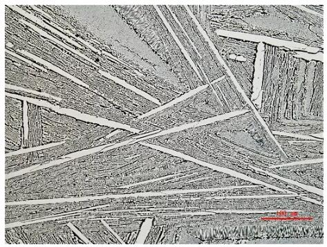 工業(yè)金相顯微鏡 工業(yè)金相顯微鏡